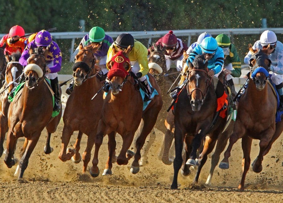 Spring Racing Carnival Checklist